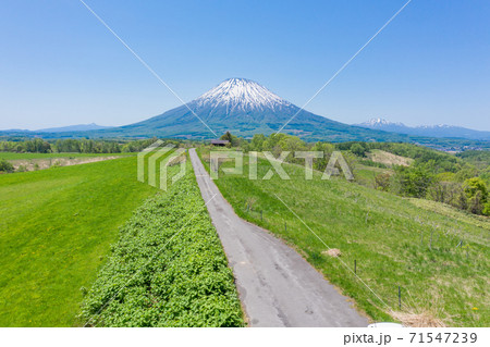 ドローン空撮・ニセコの広大な大地と羊蹄山の風景 / 北海道ニセコエリア 71547239