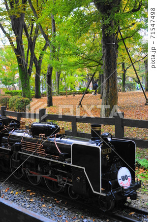 11月　世田谷445ミニSL(機関車)･世田谷公園 71547498
