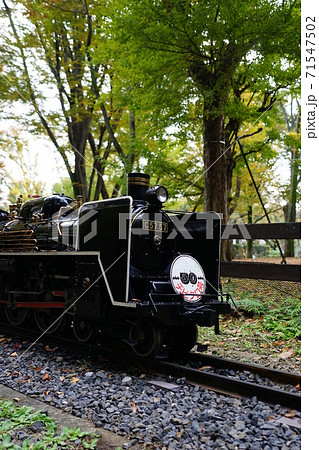 11月　世田谷442ミニSL(機関車)･世田谷公園 71547502