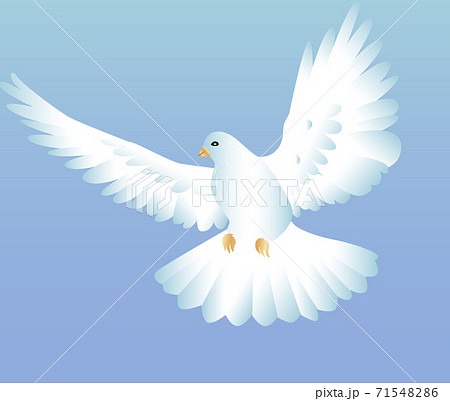 Flying white dove on the blue backgroundのイラスト素材 [71548286] - PIXTA