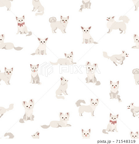 Chihuahua Seamless Pattern Dog Healthy のイラスト素材
