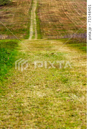 初冬の蔵王樹氷高原の道 71548401