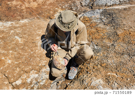 paleontologist brushes a rounded ovoid fossil in a desert 71550189