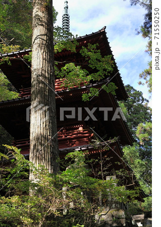 榛名神社の三重塔 榛名神社の三重塔 71550250