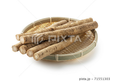 ゴボウ ゴボウ 71551303