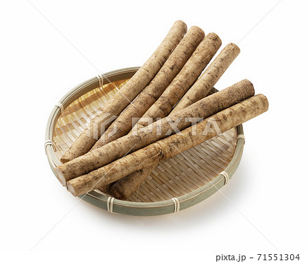 ゴボウの写真素材