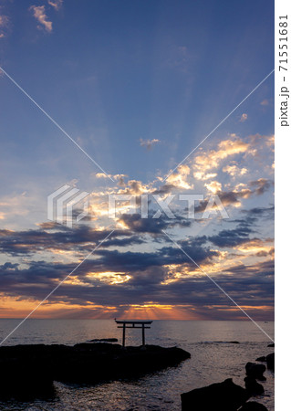 朝日で煌めく神磯の鳥居海景 朝日で煌めく神磯の鳥居海景 71551681