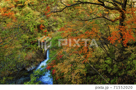紅葉の鳴子峡　鳴子峡　宮城県 71552020
