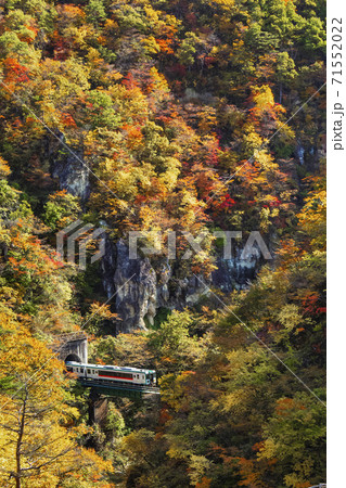 紅葉の鳴子峡　鳴子峡　宮城県 71552022