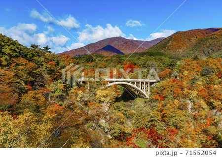 紅葉の鳴子峡 鳴子峡 宮城県 紅葉の鳴子峡 鳴子峡 宮城県 71552054