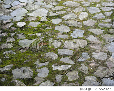 日本庭園の苔むした敷石の道 71552427