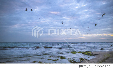 海 人 灯台 71552477