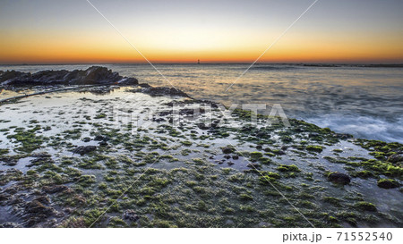 人 海藻 風景 71552540