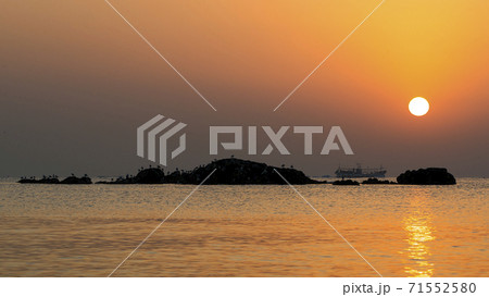 風景 東海岸 九龍浦 71552580
