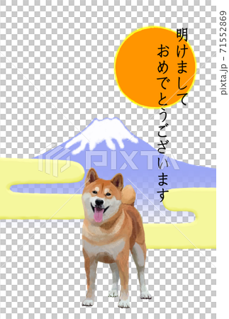 柴犬 年賀状のイラスト素材 [71552869] - PIXTA