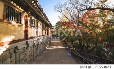 風景 建築 紅葉 71553024