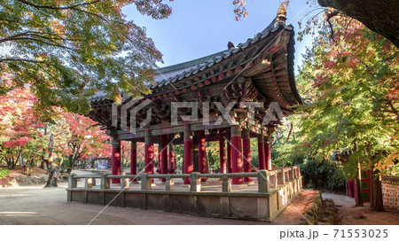 仏教 紅葉 梵鐘 71553025