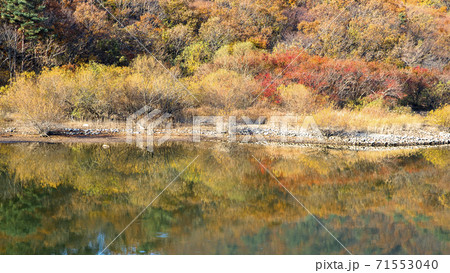 秋 紅葉 湖 71553040