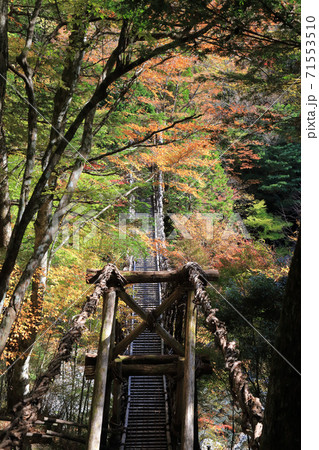 徳島県三好市奥祖谷地区「奥祖谷二重かずら橋」の男橋 徳島県三好市奥祖谷地区「奥祖谷二重かずら橋」の男橋 71553510