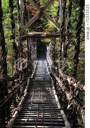 徳島県三好市奥祖谷地区「奥祖谷二重かずら橋」の男橋 徳島県三好市奥祖谷地区「奥祖谷二重かずら橋」の男橋 71553525