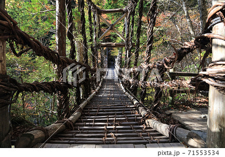 徳島県三好市奥祖谷地区「奥祖谷二重かずら橋」の男橋 徳島県三好市奥祖谷地区「奥祖谷二重かずら橋」の男橋 71553534