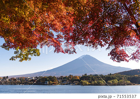 富士山と紅葉 富士山と紅葉 71553537