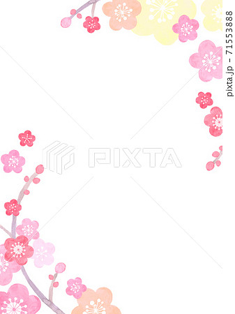 水彩で描いた和風の梅の花の背景イラストのイラスト素材