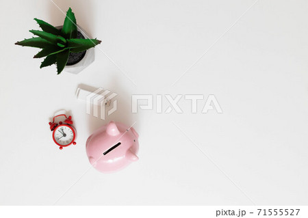 Freelance office workplace work concept. Red notebook, nature plant, alarm clock and piggy bank on a white minimalistic background with copy space. Minimal work space 71555527