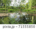 モネの庭、ジヴェルニー、水の庭03 71555850