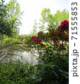 モネの庭、ジヴェルニー、水の庭06 71555853