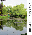 モネの庭、ジヴェルニー、水の庭12 71556084