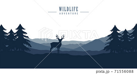 wildlife deer in forest with mountain view blue nature landscape 71556088