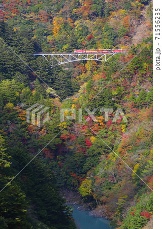紅葉の大井川鉄道 紅葉の大井川鉄道 71556235