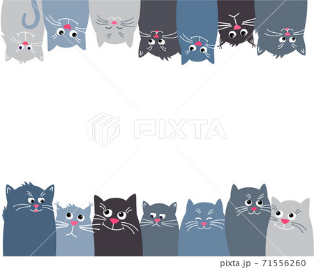 Cats look up and down. Horizontal banner with many Cute pet on 71556260