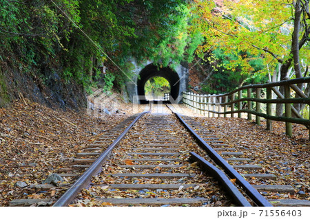 大井川鉄道の廃線跡の遊歩道 71556403