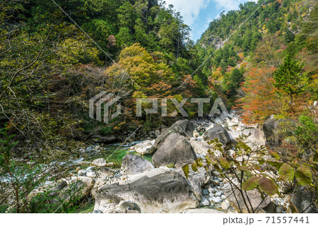 長野県 木曽郡大桑村 秋の阿寺渓谷 長野県 木曽郡大桑村 秋の阿寺渓谷 71557441