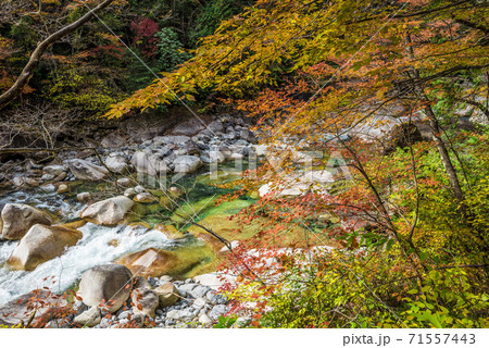 長野県 木曽郡大桑村 秋の阿寺渓谷 長野県 木曽郡大桑村 秋の阿寺渓谷 71557443