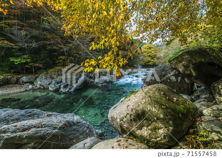 長野県　木曽郡大桑村　秋の阿寺渓谷 71557458