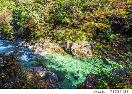 長野県　木曽郡大桑村　秋の阿寺渓谷 71557488