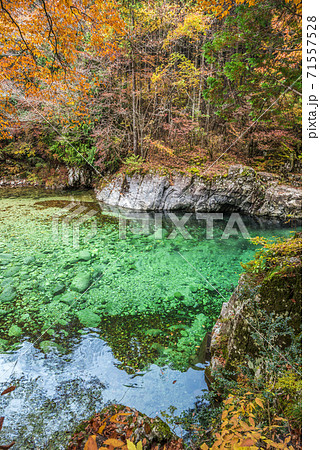 長野県　木曽郡大桑村　秋の阿寺渓谷 71557528