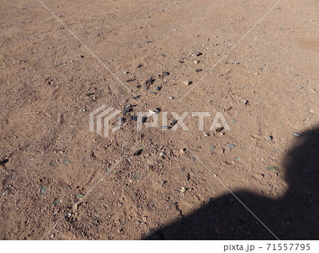 ネバダ州　ボルダーシティ　射撃場 71557795