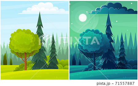 Day and night countryside landscape with moon, grass on the hills, pine forest on the horizon Day and night countryside landscape with moon, grass on the hills, pine forest on the horizon 71557887