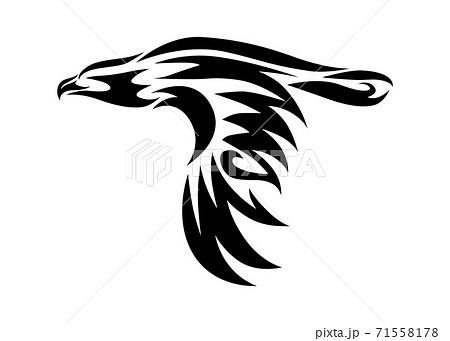 Line art vector of eagle that is flying. 71558178