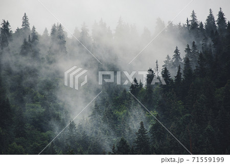 Misty mountain landscape Misty mountain landscape 71559199