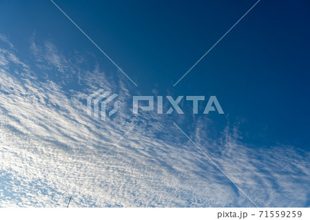 秋の朝の空 71559259