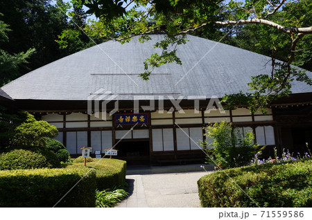 安楽寺 安楽寺 71559586