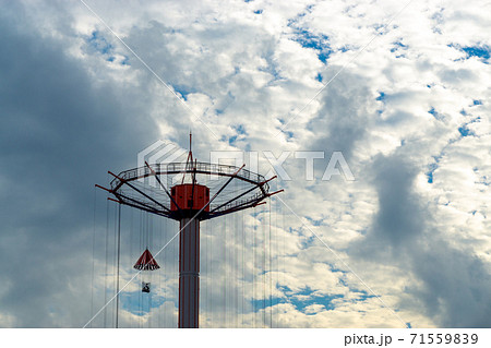 スカイフラワーの写真素材