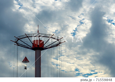 スカイフラワーの写真素材