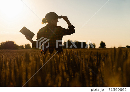 A woman farmer with tablet. A woman farmer with tablet. 71560062
