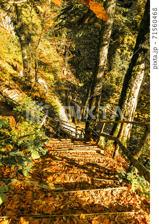 Sunny autumn picturesque natural park landscape with path leading to the waterfall. Fall trees with colorful leaves background. 71560468